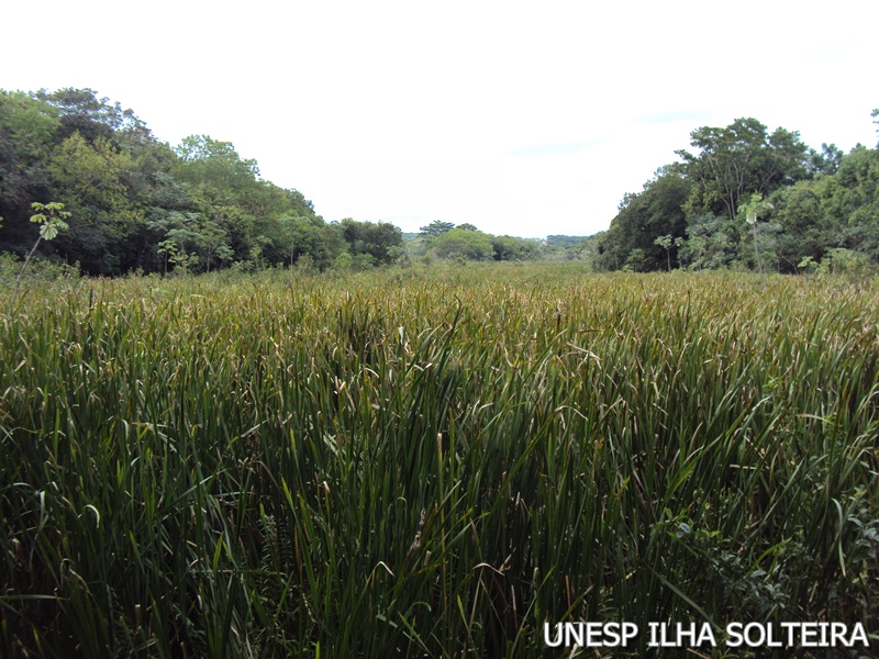 21_marco_2011 (24).JPG